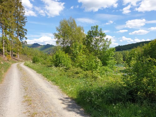 Rund um den Esmecke-Stausee