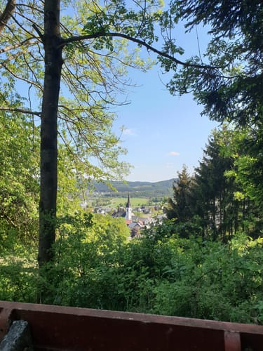 Geologischer Rundweg Düdinghausen (Premiumwanderweg)