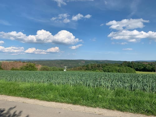 Prächtiger Hintertaunus