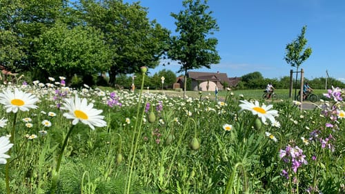 Rheda-Wiedenbrück Rundtour