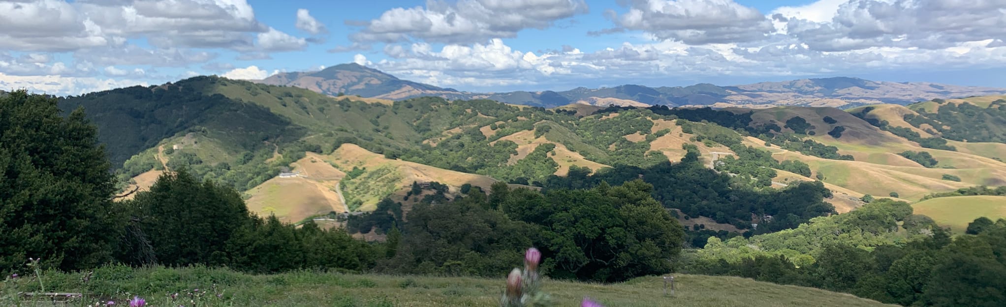 Elderberry Trail 340 Reviews, Map California AllTrails