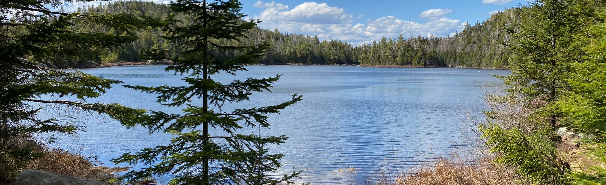 Crane Mountain Pond 178 Reviews, Map New York AllTrails