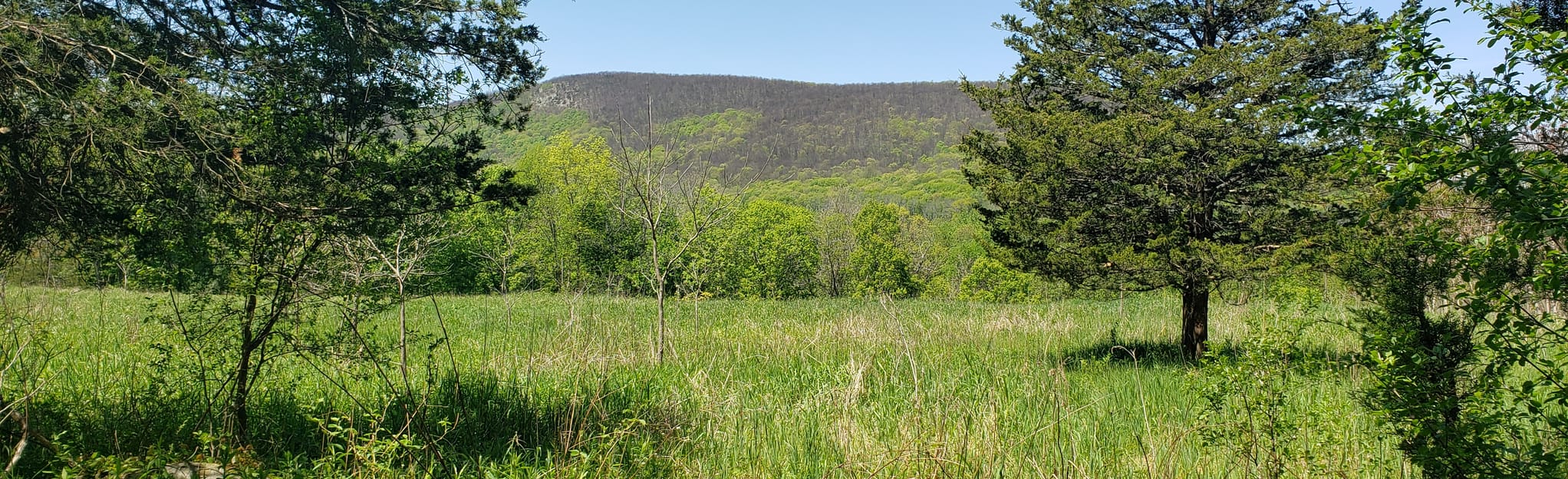 Goose Pond Mountain MTB Trail Map, Guide New York AllTrails