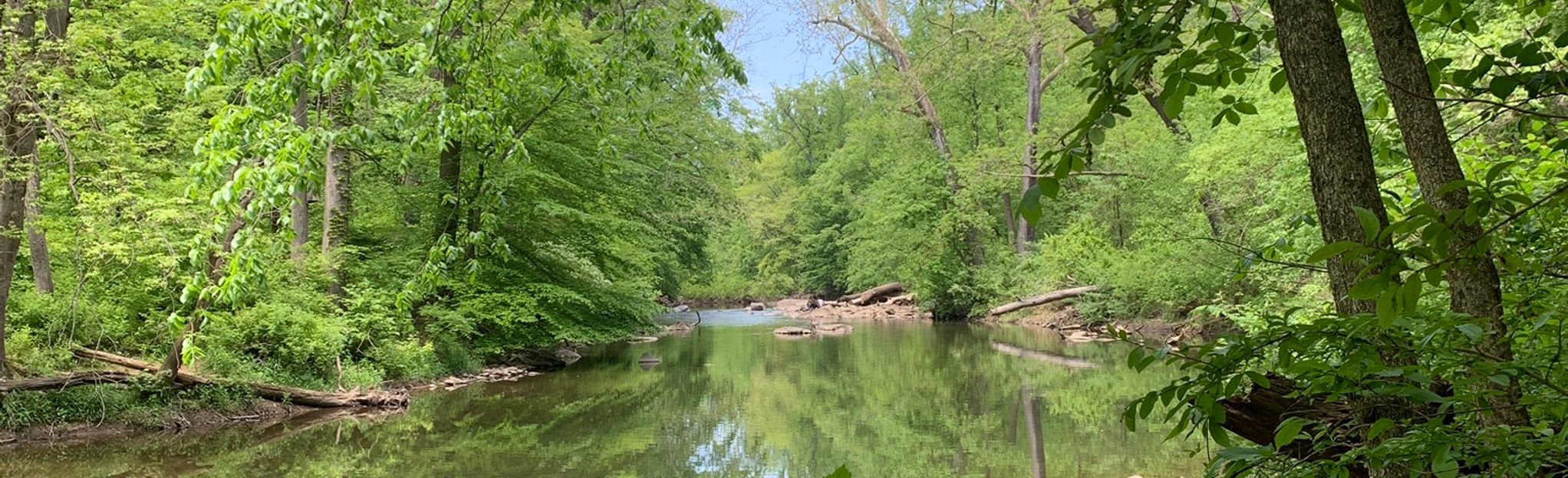 Wissahickon Lavender and White Trails, Pennsylvania - 420 Reviews, Map ...