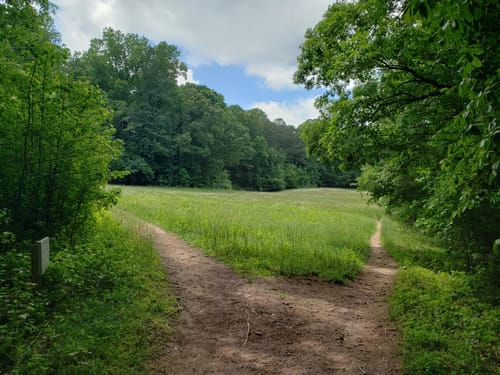 2023 Best 10 Moderate Trails in - EyJidWNrZXQiOiJhc3NldHMuYWxsdHJhaWxzLmNvbSIsImtleSI6InVwbG9hZHMvcGhvdG8vaW1hZ2UvMjY1NDk2NjQvYWFhZTM0ZGY0Y2FiNjM4OTY4NzE5MjQyZGY3MTJkYmEuanBnIiwiZWRpdHMiOnsidG9Gb3JtYXQiOiJqcGVnIiwicmVzaXplIjp7IndpZHRoIjo1MDAsImhlaWdodCI6NTAwLCJmaXQiOiJpbnNpZGUifSwicm90YXRlIjpudWxsLCJqcGVnIjp7InRyZWxsaXNRdWFudGlzYXRpb24iOnRydWUsIm92ZXJzaG9vdERlcmluZ2luZyI6dHJ1ZSwib3B0aW1pc2VTY2FucyI6dHJ1ZSwicXVhbnRpc2F0aW9uVGFibGUiOjN9fX0=