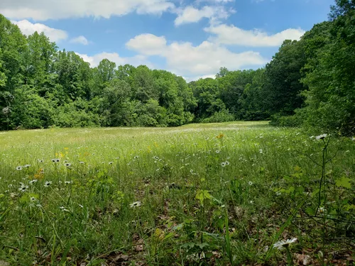 10 Best Hikes and Trails in Kennesaw - EyJidWNrZXQiOiJhc3NldHMuYWxsdHJhaWxzLmNvbSIsImtleSI6InVwbG9hZHMvcGhvdG8vaW1hZ2UvMjY1NDk2NjgvNmZiMDhiN2YwNzA1ZmFhZjgwNzRiNzcwOWUwNzI2NDcuanBnIiwiZWRpdHMiOnsidG9Gb3JtYXQiOiJ3ZWJwIiwicmVzaXplIjp7IndpZHRoIjo1MDAsImhlaWdodCI6NTAwLCJmaXQiOiJpbnNpZGUifSwicm90YXRlIjpudWxsLCJqcGVnIjp7InRyZWxsaXNRdWFudGlzYXRpb24iOnRydWUsIm92ZXJzaG9vdERlcmluZ2luZyI6dHJ1ZSwib3B0aW1pc2VTY2FucyI6dHJ1ZSwicXVhbnRpc2F0aW9uVGFibGUiOjN9fX0=