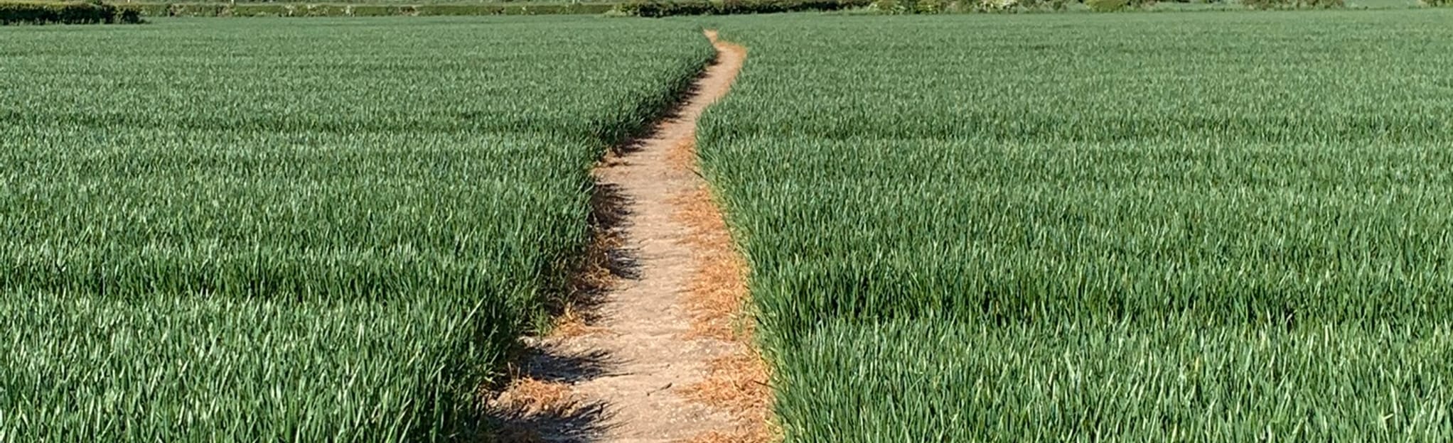 Burton Agnes Kilham Harpham, East Riding of Yorkshire, England 78