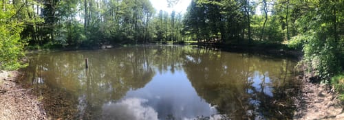 Hasselbach - Riedelbacher Heide - Cratzenbach