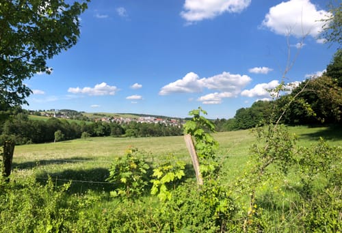 Hasselbach - Riedelbacher Heide - Cratzenbach