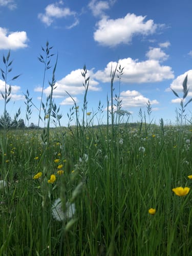 Hasselbach - Riedelbacher Heide - Cratzenbach