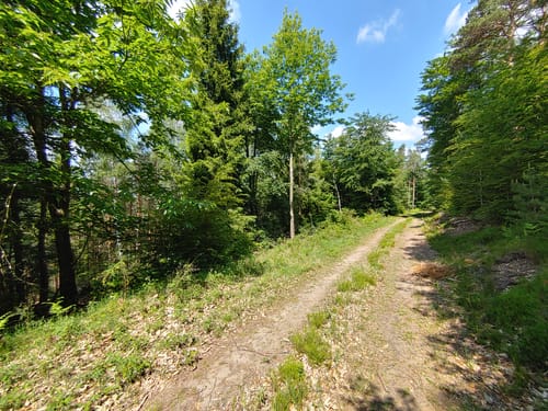 Zur Herrentischhütte