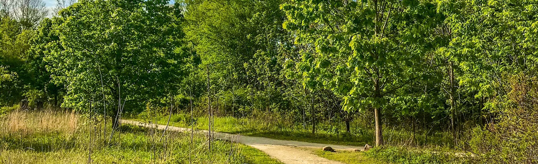 Boundary Creek Park Loop Trail, New Jersey 185 Reviews, Map AllTrails