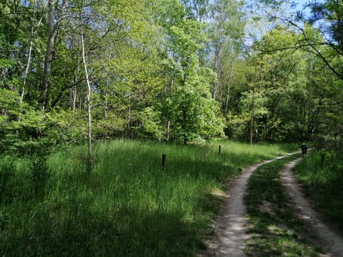 Döberitzer Heide ab Rohrbeck