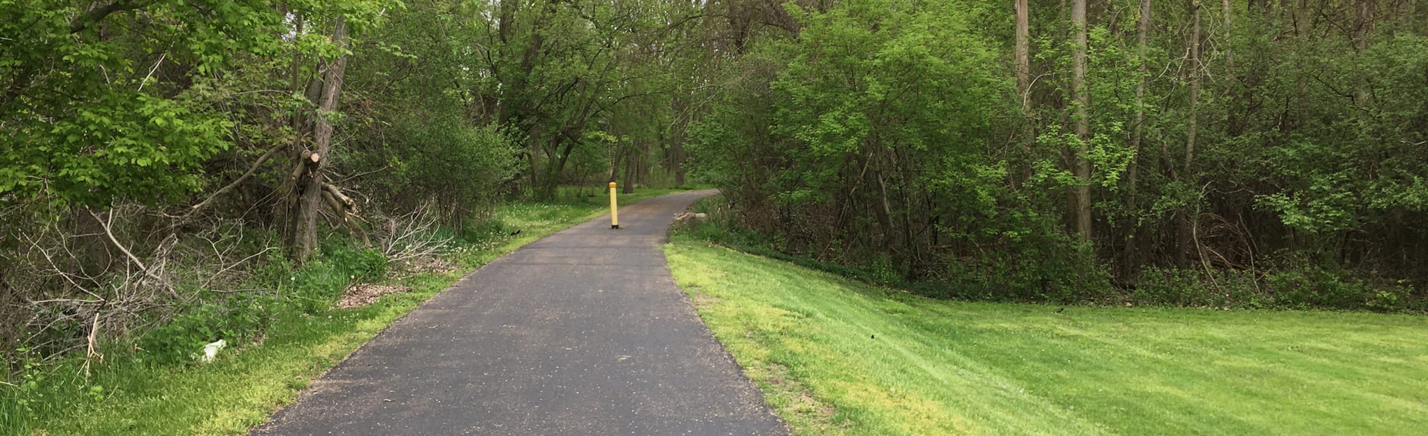 North Country Trail Baw Beese Trail 30 Reviews, Map Michigan AllTrails