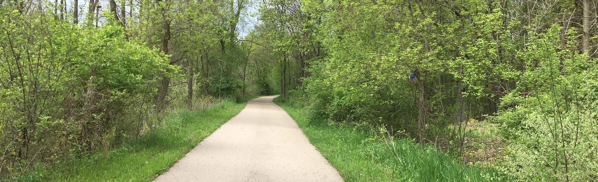 Baw Beese Trail via Jonesville, Michigan 13 Reviews, Map AllTrails