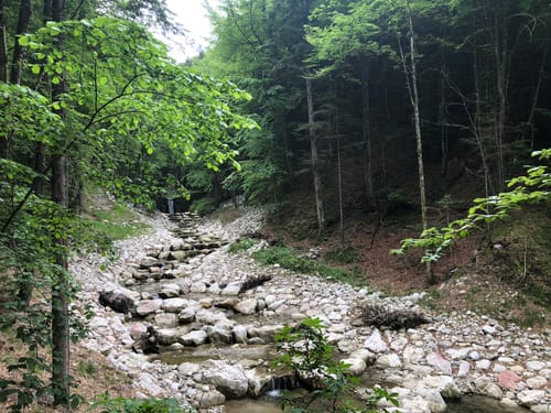 Nr. 23 Von Aschau um den Haindorfer Berg