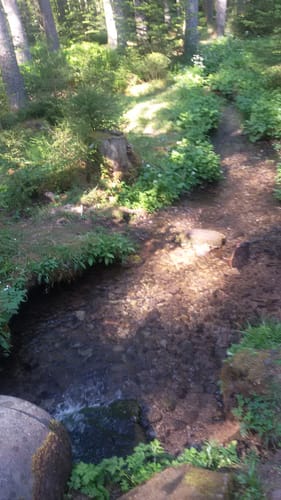 Sulgen, Kaltbrunnenbach, und Eisenbahn