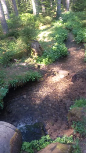 Sulgen, Kaltbrunnenbach, und Eisenbahn