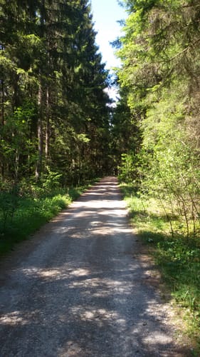 Sulgen, Kaltbrunnenbach, und Eisenbahn