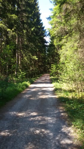 Sulgen, Kaltbrunnenbach, und Eisenbahn