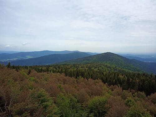 Hirschenstein und Rauher Kulm ab Lindenau