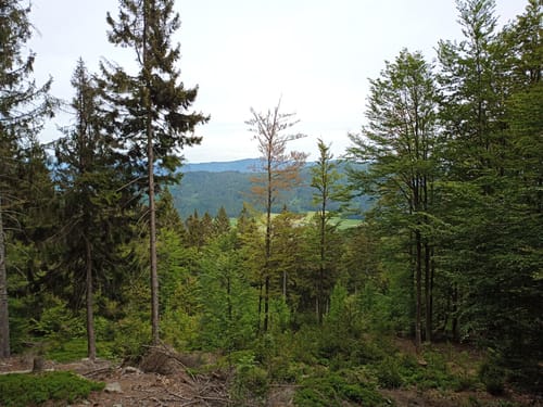 Hirschenstein und Rauher Kulm ab Lindenau