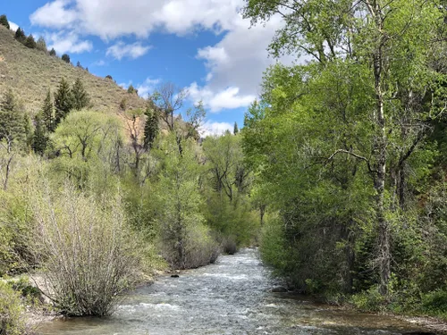 10 Best Off Road Driving Trails in Uinta-Wasatch-Cache National Forest ...