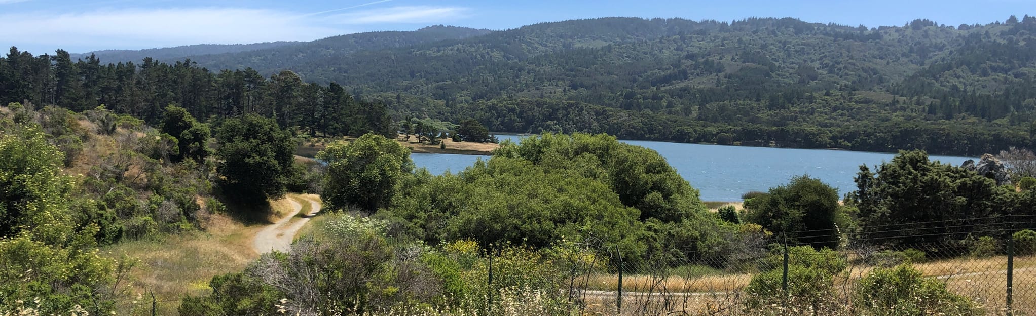 Upper Crystal Springs Reservoir California AllTrails