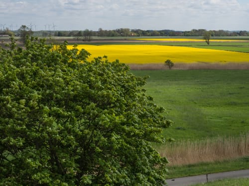 Bike it! - Wasser, Wind und Wiesen