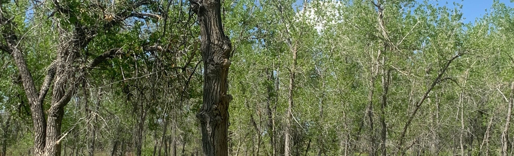 AllTrails Smoky Hill Trail 71 - EyJidWNrZXQiOiJhc3NldHMuYWxsdHJhaWxzLmNvbSIsImtleSI6InVwbG9hZHMvcGhvdG8vaW1hZ2UvMjY1NzAxNjgvZjM1OTRjZWQxM2MzZTE2MDM5OGUwMThkMDI0ZjEyMjguanBnIiwiZWRpdHMiOnsidG9Gb3JtYXQiOiJqcGVnIiwicmVzaXplIjp7IndpZHRoIjoyMDQ0LCJoZWlnaHQiOjYyNCwiZml0IjoiY292ZXIifSwicm90YXRlIjpudWxsLCJqcGVnIjp7InRyZWxsaXNRdWFudGlzYXRpb24iOnRydWUsIm92ZXJzaG9vdERlcmluZ2luZyI6dHJ1ZSwib3B0aW1pc2VTY2FucyI6dHJ1ZSwicXVhbnRpc2F0aW9uVGFibGUiOjN9fX0=