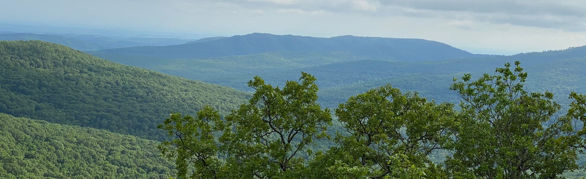 Mill Creek ATV Trail, Arkansas 24 Reviews, Map AllTrails