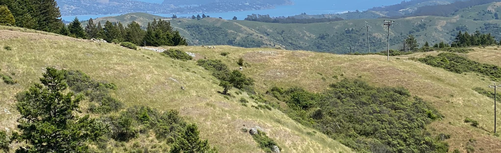 Dipsea and Ben Johnson Loop From Mill Valley 13.396 foto's