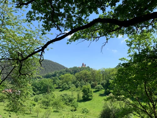 Burg Drachenfels - Burgruine Klein-Frankreich - Berwartstein