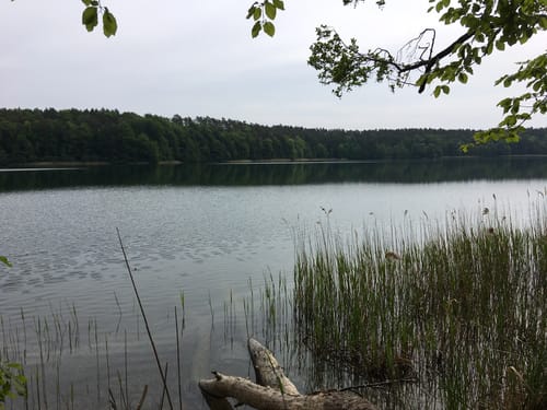 Um den Zenssee