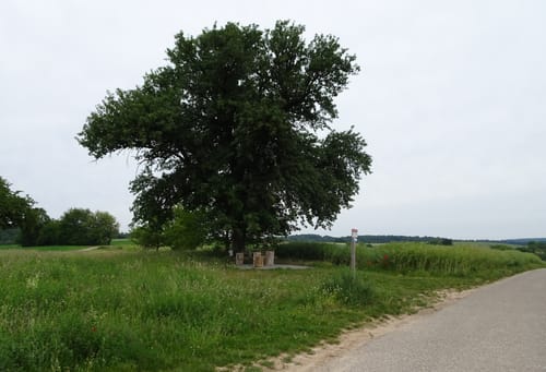 MTB Runde durch die Hohlwege am Schindelberg