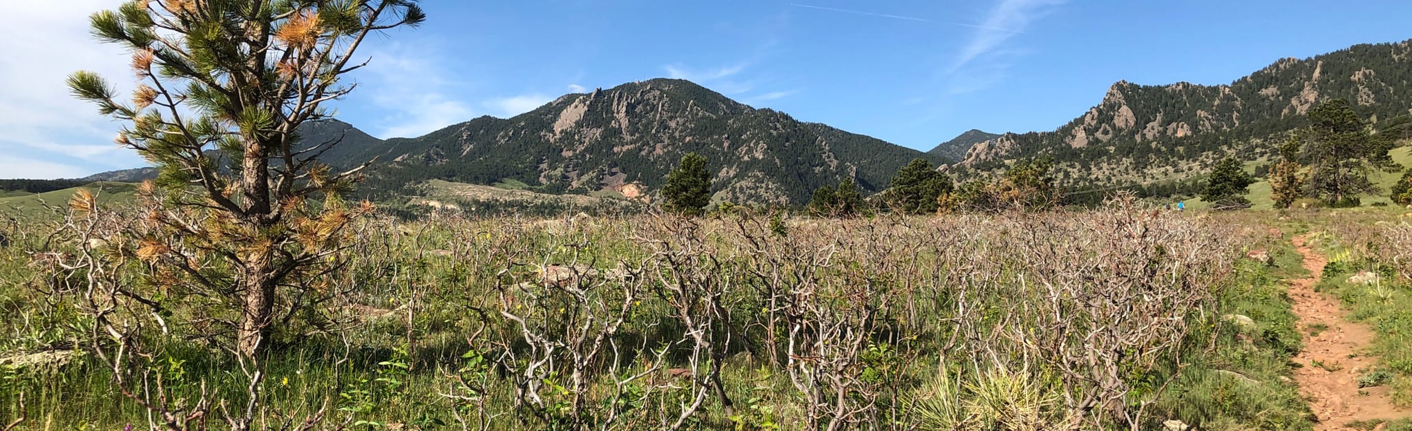 South Boulder Creek Lower Big Bluestem Trail to Mesa Trail 790
