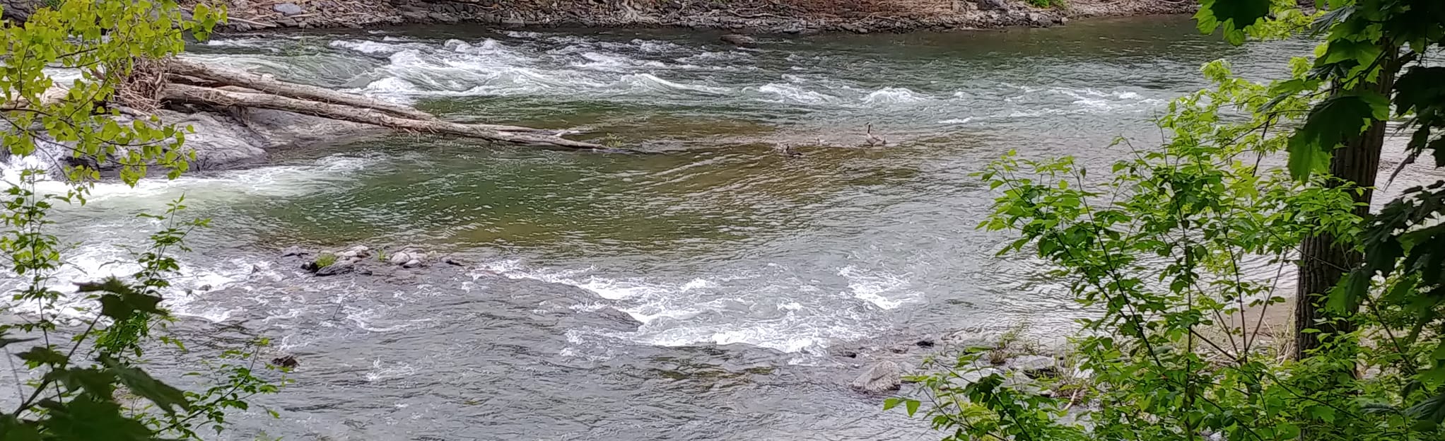 Hoosic River Greenway Map, Guide New York AllTrails