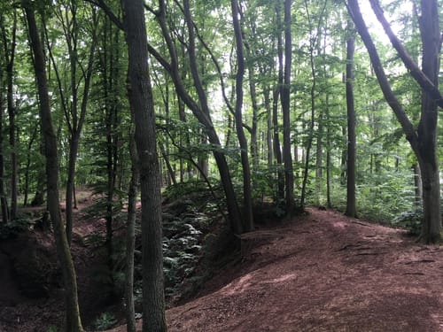Auf den Kornberg