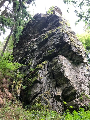 Kirchspiels Tälertour (Moselsteig Seitensprung)