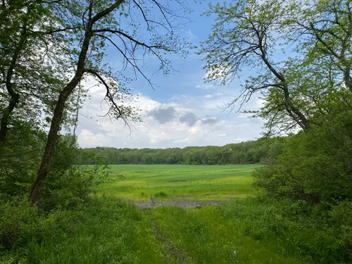 Brimfield Weather