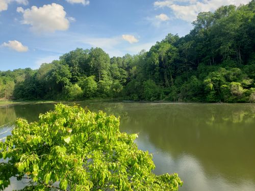 Escape to Nature's Canvas: Kentucky's John James Audubon State Park