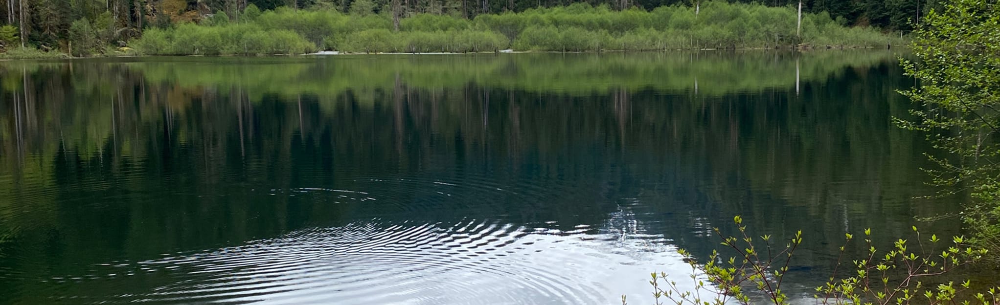 Trout Lake via West Fork Foss Lakes Trail 221 Reviews, Map