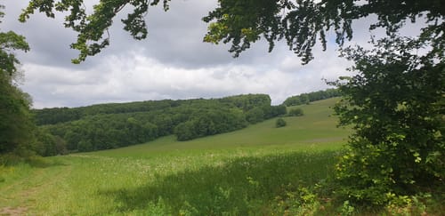 Über Floh-Seligenthal und Breitungen/Werra
