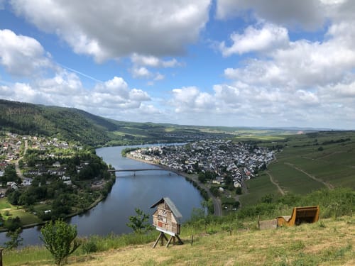 Zitronenkrämerkreuz (Premiumwanderweg)
