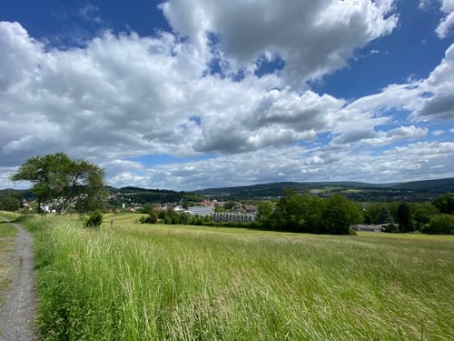 Bad Soden-Salmünster Wanderweg "Blaues Kreuz"