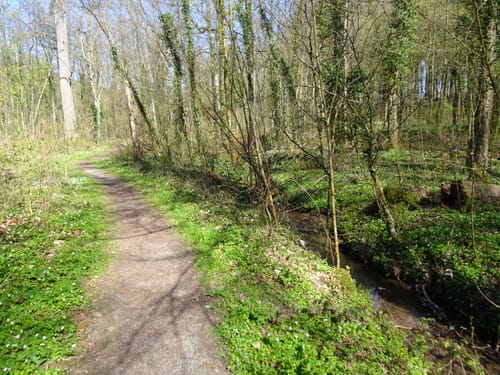 Kraichtal Wanderweg K1