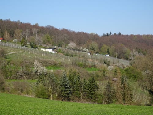 Kraichtal Wanderweg K1