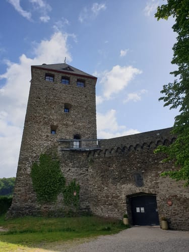Saynsteig (Traumpfad)