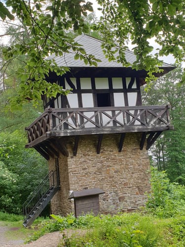 Saynsteig (Traumpfad)