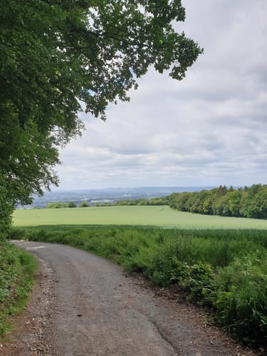 Saynsteig (Traumpfad)